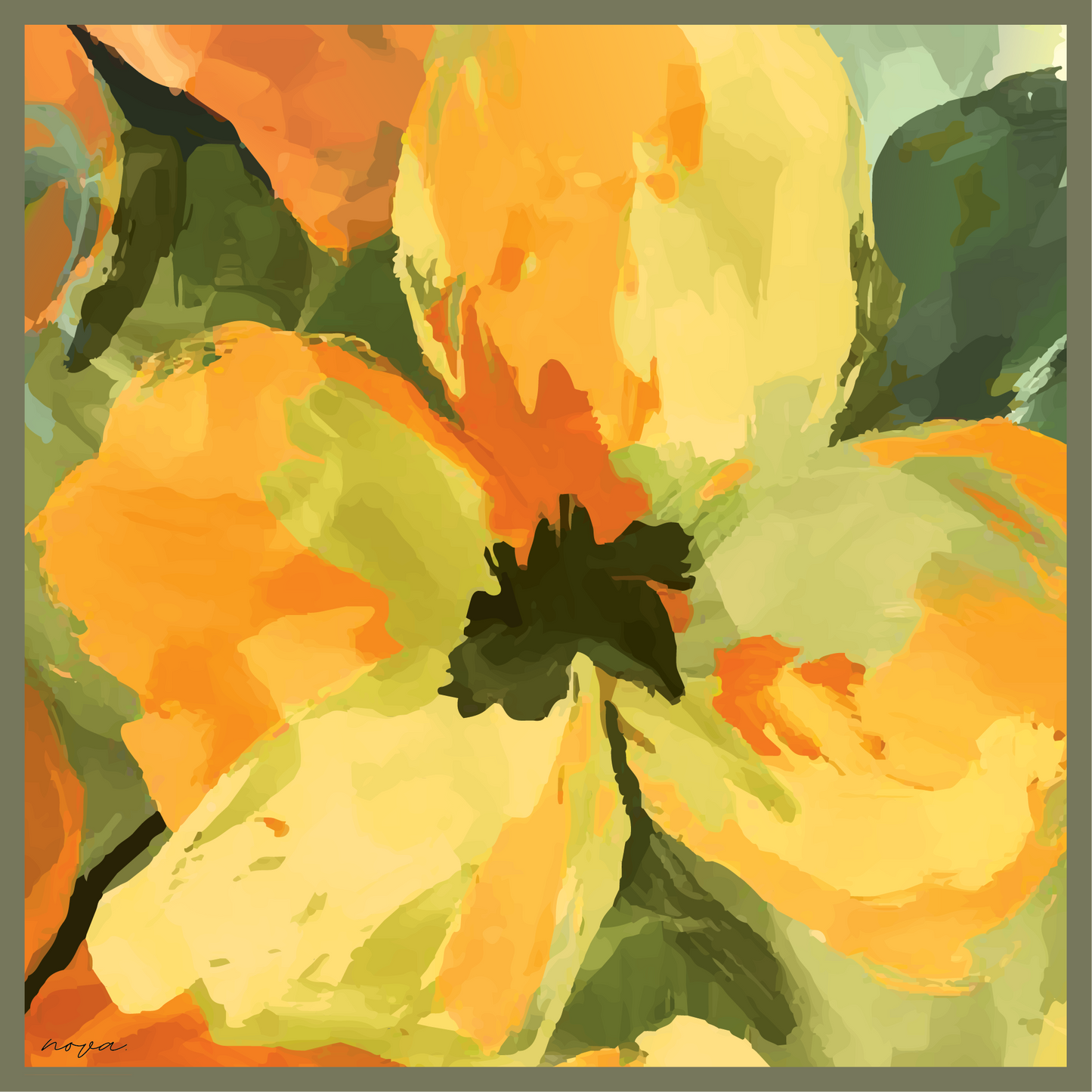 Apricot + Olive